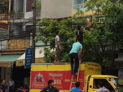 Ảnh bìa bài viết 314938