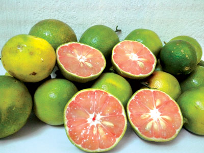 Ảnh bìa bài viết 315262