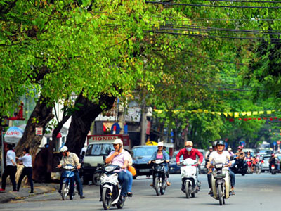 Ảnh bìa bài viết 315252