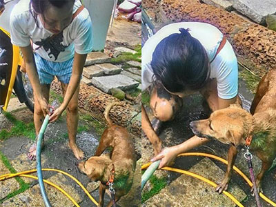 Ảnh bìa bài viết 316104