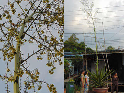 Ảnh bìa bài viết 316448