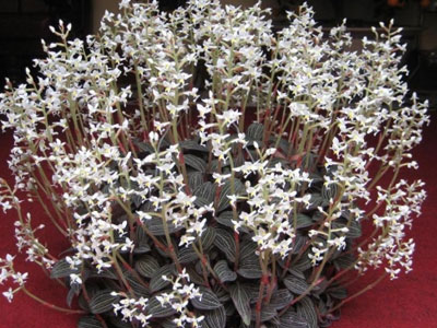Ảnh bìa bài viết 316946