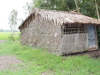 Ảnh bìa bài viết 317158