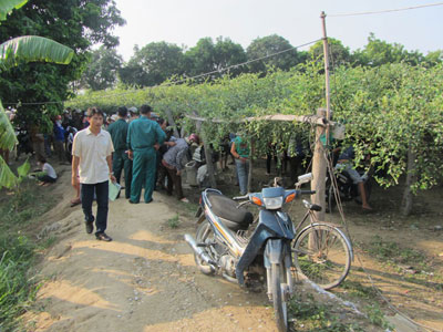 Ảnh bìa bài viết 318093