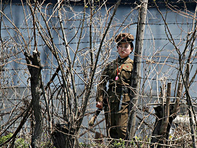 Ảnh bìa bài viết 318317