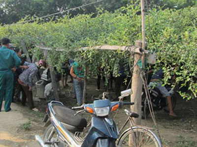 Ảnh bìa bài viết 318310