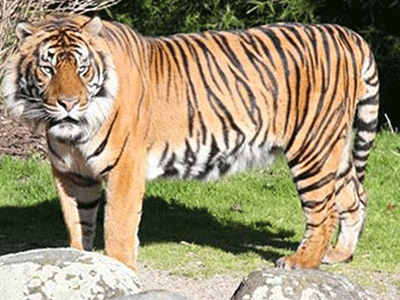 Ảnh bìa bài viết 318431