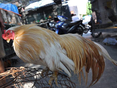 Ảnh bìa bài viết 318554