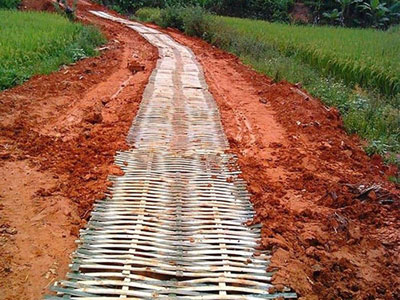 Ảnh bìa bài viết 319206