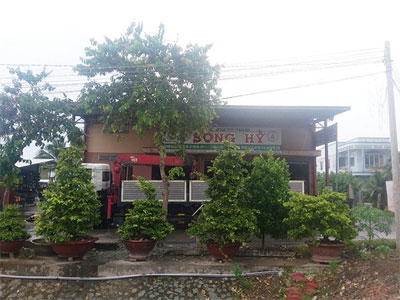 Ảnh bìa bài viết 319497