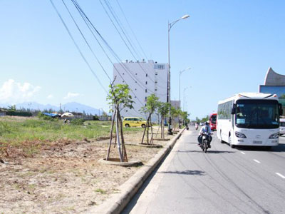 Ảnh bìa bài viết 319584