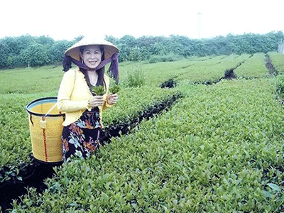 Ảnh bìa bài viết 319759