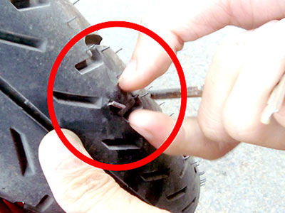 Ảnh bìa bài viết 319829