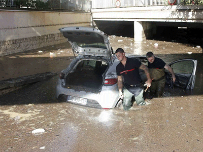 Ảnh bìa bài viết 320763