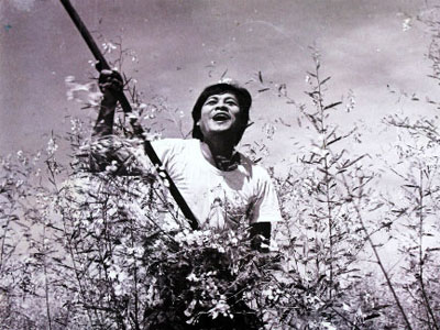 Ảnh bìa bài viết 320802