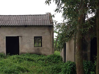 Ảnh bìa bài viết 321189
