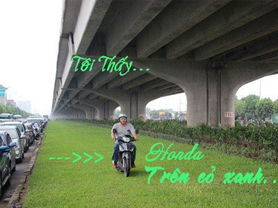 Ảnh bìa bài viết 321523