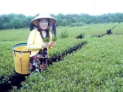 Ảnh bìa bài viết 321388