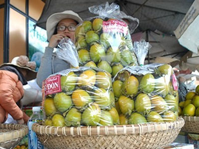 Ảnh bìa bài viết 321807