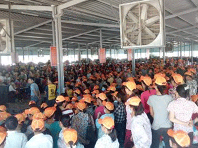 Ảnh bìa bài viết 322761