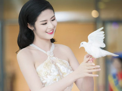 Ảnh bìa bài viết 322809