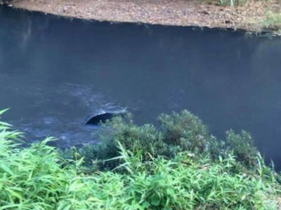 Ảnh bìa bài viết 323078