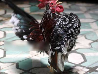 Ảnh bìa bài viết 323798