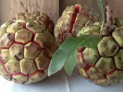 Ảnh bìa bài viết 323841