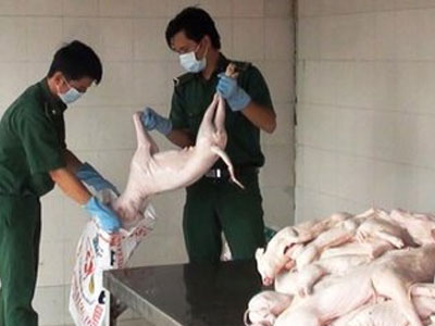 Ảnh bìa bài viết 323991