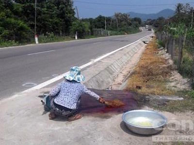 Ảnh bìa bài viết 324590