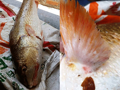Ảnh bìa bài viết 325574