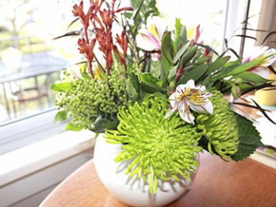 Ảnh bìa bài viết 326612