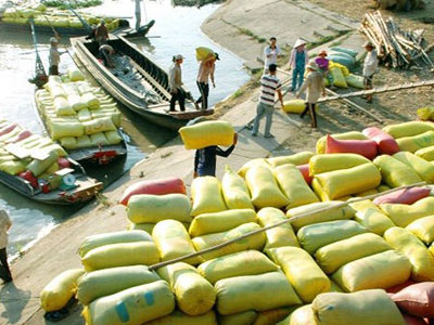 Ảnh bìa bài viết 327104