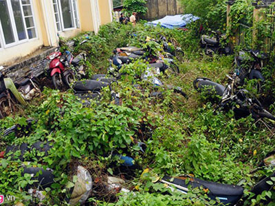 Ảnh bìa bài viết 327536