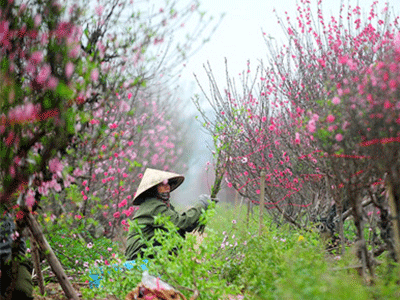 Ảnh bìa bài viết 328493