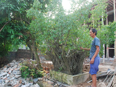Ảnh bìa bài viết 328550