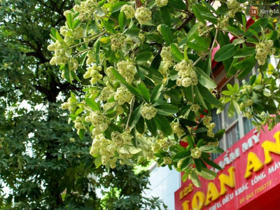 Ảnh bìa bài viết 329296