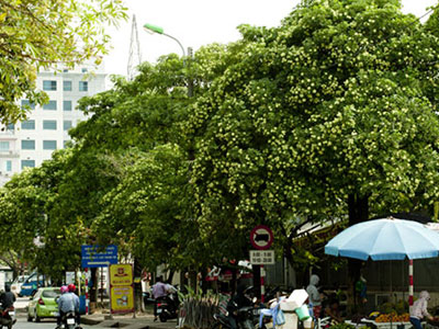 Ảnh bìa bài viết 329708