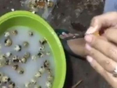Ảnh bìa bài viết 330052