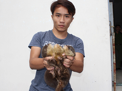 Ảnh bìa bài viết 331782