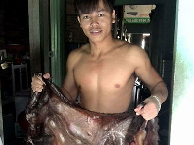 Ảnh bìa bài viết 331933