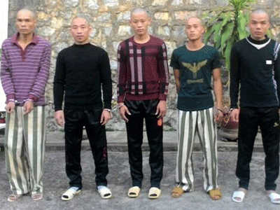 Ảnh bìa bài viết 333103