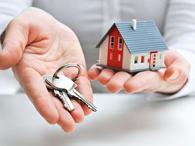 Ảnh bìa bài viết 333531