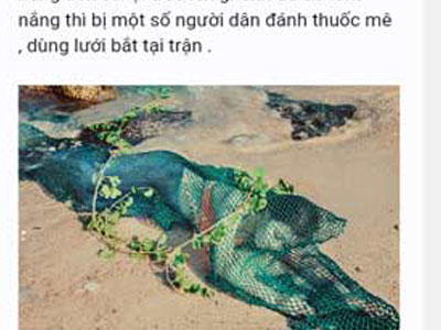 Ảnh bìa bài viết 334461