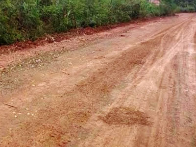 Ảnh bìa bài viết 335544