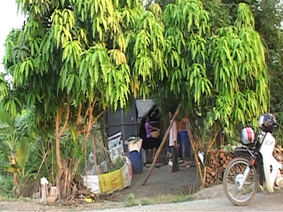 Ảnh bìa bài viết 335653