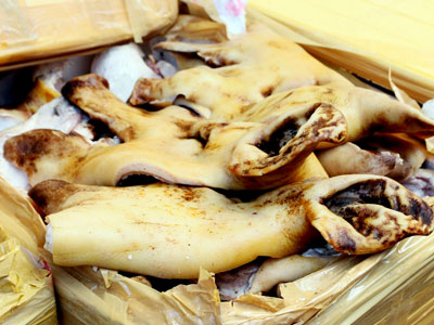 Ảnh bìa bài viết 335870