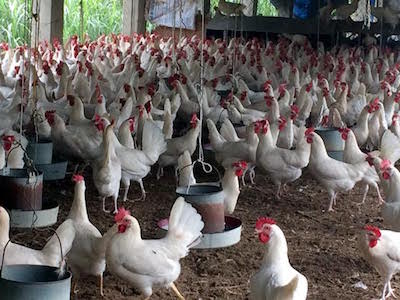 Ảnh bìa bài viết 336518