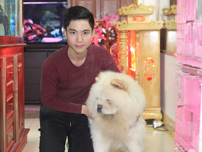 Ảnh bìa bài viết 336787