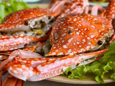 Ảnh bìa bài viết 337228
